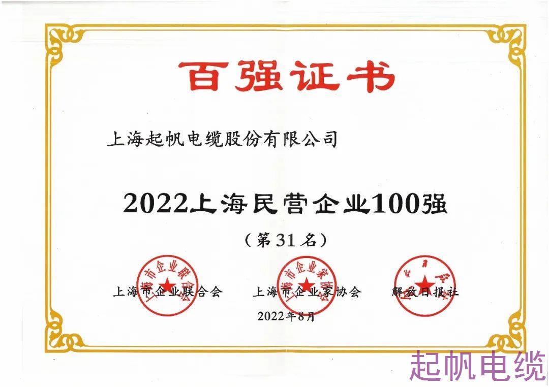 2022年上海民營企業(yè)100強(qiáng)